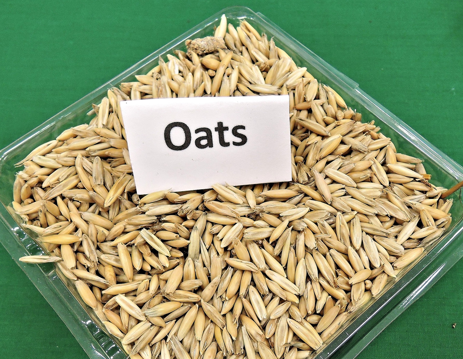 Is Saffola Masala Oats Good For Weight Loss?