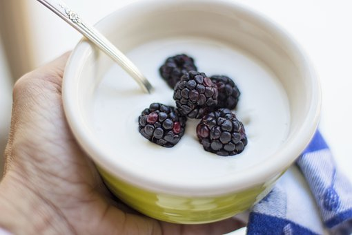 epigamia yogurt